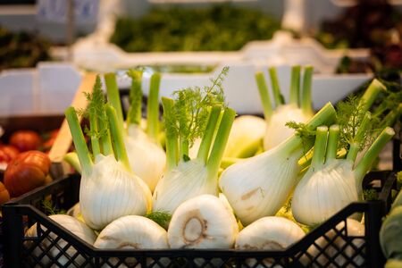 Fresh fennel in a basket, Italian market (Venice, Italy)