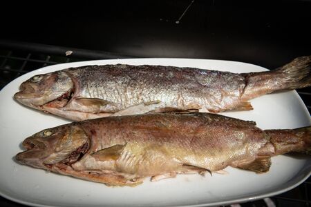 Closeup of a pair of grilled trouts on a white plateの写真素材
