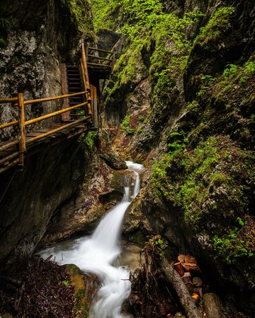 Vogelsang Gorge in Upper Austria on a cloudy day in summer. This is the longest gorge of Upper Austria with a total length of 1.5 km as well as 500 wood and stone steps.の写真素材