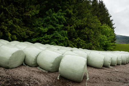 Haylage bales on a cloudy day in late spring (Austrian Alps)の写真素材