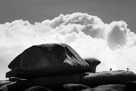 Interesting rock formation (turtle) on Pink Granite Coast in northern Brittany (France), on a sunny day in summerの写真素材