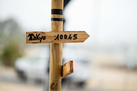Wooden sign pointing to Tokyo on a cloudy day