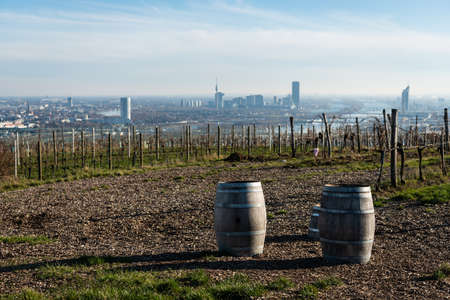 Two wine barrels on Nussberg near river Danube in Vienna Austria on a sunny day in autumn