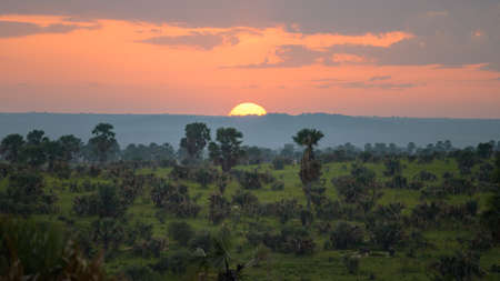 Epic sunrise over savanna in Murchonson Falls National Park Ugandaの写真素材
