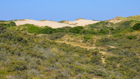 Dunes De La Slack (France) on a sunny day in summerの写真素材