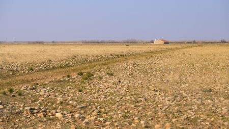 The Crau on a sunny morning in early spring. This dry region has been used as pasture from Roman times (Provence, France)の写真素材