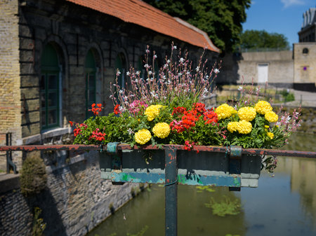 Beautiful flowers in front of a house and river, colorful, sunlightの写真素材