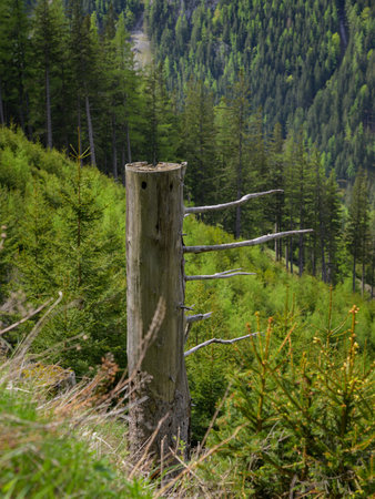 Valley near Hochschwab (Austria) on a cloudy day in springtimeの写真素材