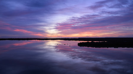 Colorful sunrise in the wetlands of the Camargue (Provence, France), clear morning in springtimeの写真素材