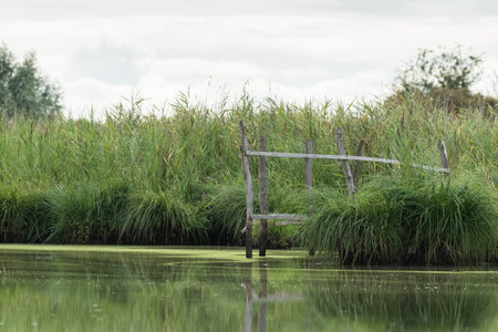 beautiful wetland in Briere Regional Natural Park (northern France), cloudy day in summerの写真素材
