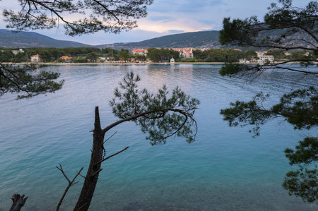 Calm sea near Cres after sunset in springtime, pine treesの写真素材