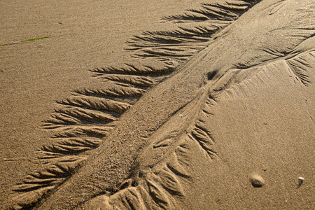 Abstract detail of a sand beach in summer, structure of water flow in sand