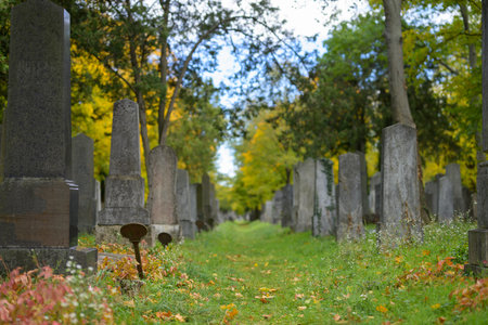 Vienna, Austria - October 25, 2025: Jewish graves at Central Cemetery with autumn foliage on cloudy dayのeditorial素材