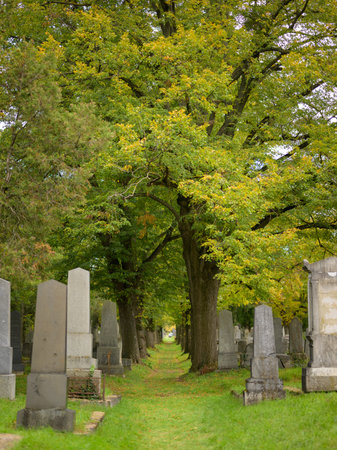 Vienna, Austria - October 25, 2025: Jewish graves at Central Cemetery with autumn foliage on cloudy dayのeditorial素材
