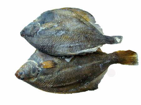 Fish plaice frozenの写真素材