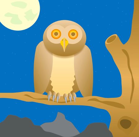 Owl sits on tree in the nightの写真素材