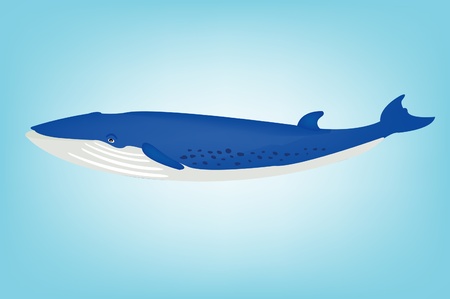 Illustration of the big blue whaleのイラスト素材