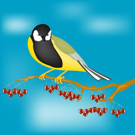 Small bird tomtit sits on branch with berryのイラスト素材