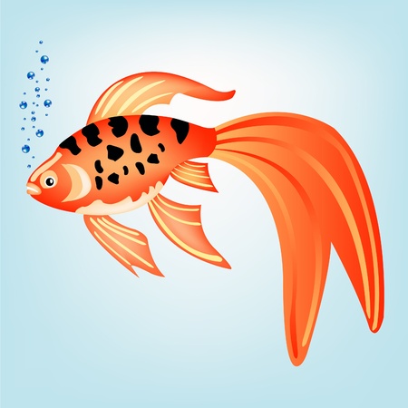 Decorative tropical fish sails in waterのイラスト素材