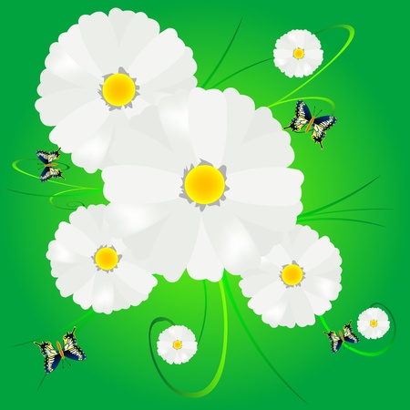 Flower daisywheel and butterflies on green backgroundのイラスト素材