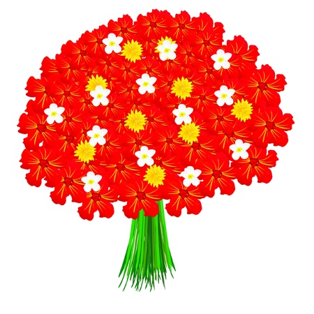 Bouquet from field flower on white backgroundのイラスト素材