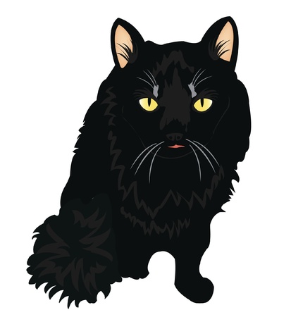 Drawing of the black cat on white backgroundのイラスト素材