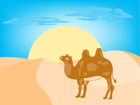 Illustration of the camel in desertのイラスト素材