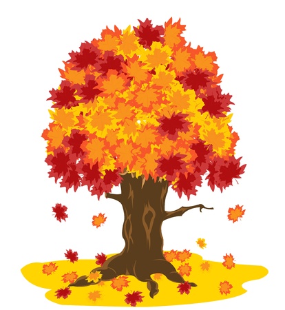 Tree with autumn sheet on white backgroundのイラスト素材