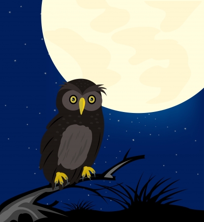 Owl sits on tree moon in the nightのイラスト素材