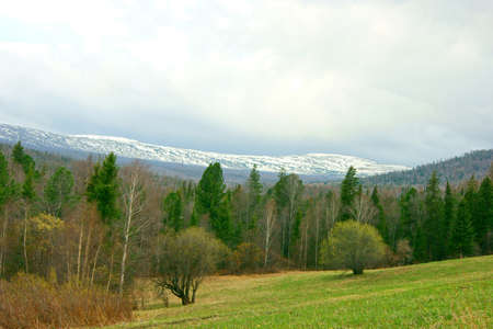 Spring landscape and snow mountainsの写真素材