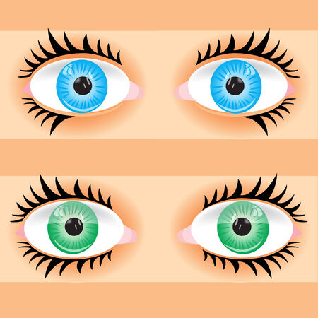 Vector illustration eye person Eye of the personのイラスト素材