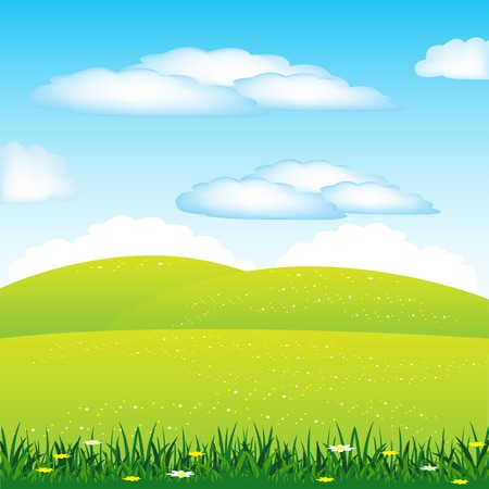 Vector illustration  meadow with flower by summerのイラスト素材