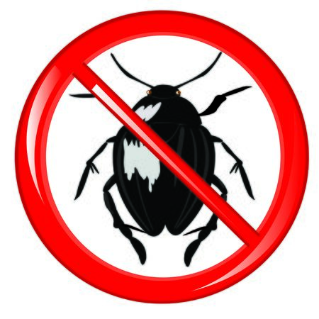 Sign insect it is impossible on white background insulated