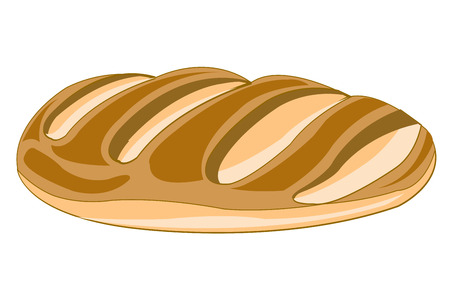 Long loaf of bread on white background is insulatedのイラスト素材