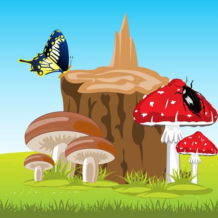 Edible and poisonous mushrooms on glade beside stumpのイラスト素材