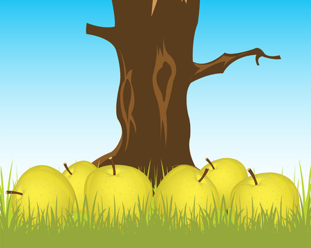 Much ripe apples tumbled to the land.Vector illustrationのイラスト素材