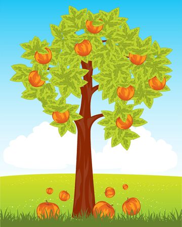 Tree aple tree with ripe red apple in fieldのイラスト素材