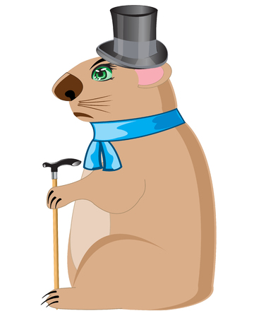 Cartoon of the woodchuck in hat and scarf on white backgroundのイラスト素材