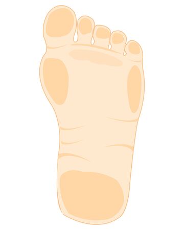 Foot right leg bottom view low poly polygon.のイラスト素材