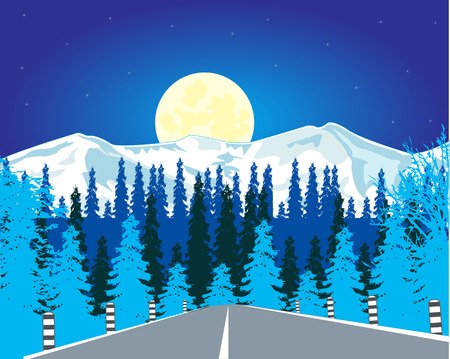The Car road in wood in winter in the night. Vector illustrationのイラスト素材