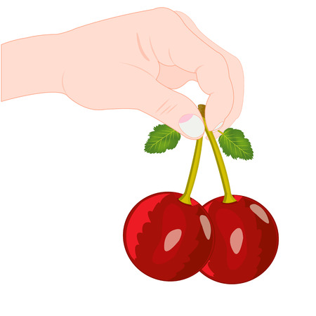 Berry cherry in handのイラスト素材