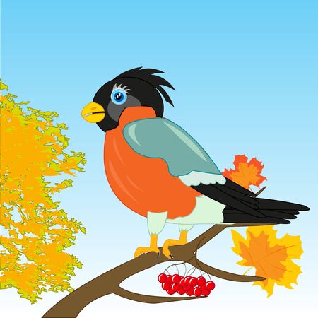 Beautiful bird bullfinch on branch tree by autumnのイラスト素材