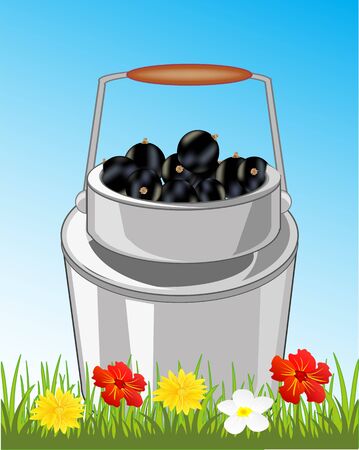 Can with berry in herbのイラスト素材