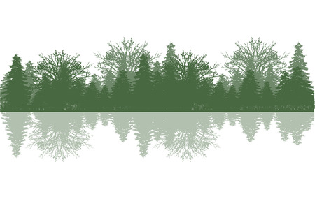 Reflection wood and treeのイラスト素材