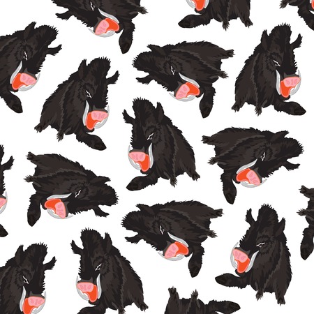 Animal wild boar patternのイラスト素材