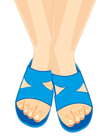 Pair of feet wearing blue slippers, Vector illustration isolated on white background.のイラスト素材