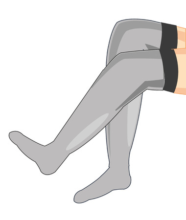 Legs in pantyhose vector illustrationのイラスト素材