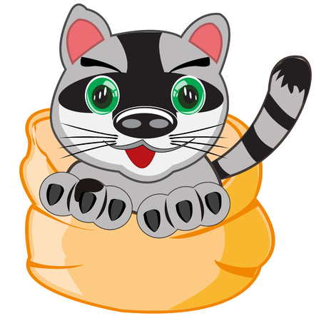 Cat peers out bag on white background is insulatedのイラスト素材