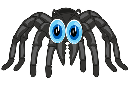 Vector illustration of the poisonous spider tarantula cartoonのイラスト素材