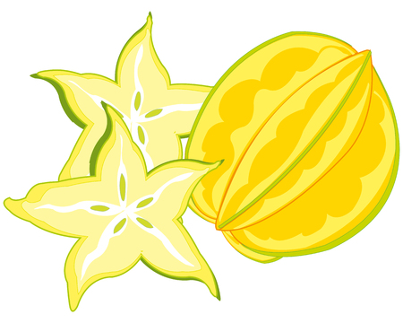 Vector illustration of the exotic tropical fruit carambolaのイラスト素材